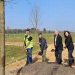 Bierstadt Nord bekommt zentrales Grün mit 83 neuen Bäumen und Spielbereichen