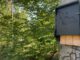 Fledermausexkursion am Abend im Licht- und Luftbad Hanau