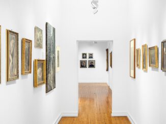 Hanauer Museen starten 2026 mit Führungen, Vorträgen und Familienangeboten