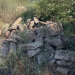 Illegale Müllablagerungen in Eltville belasten Umwelt und kommunalen Haushalt