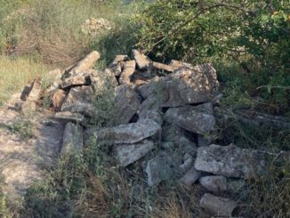 Illegale Müllablagerungen in Eltville belasten Umwelt und kommunalen Haushalt