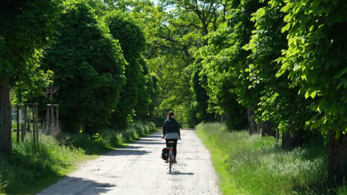 Mainz startet 2026 wieder beim STADTRADELN und plant Abschlussaktion mit Cathleen Rund Mainz startet 2026 wieder beim STADTRADELN und plant Abschlussaktion mit Cathleen Rund