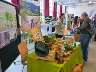 Nachhaltigkeitsmesse in Hanau rückt Artenvielfalt und lokale Folgen globaler Ökosysteme in den Mittelpunkt