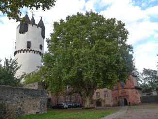Nachtwächter führt durch die Steinheimer Altstadt am 4. Februar