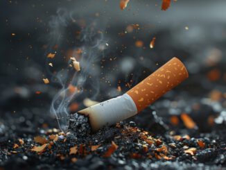 Schweden Rauchverbot 2025: Maßnahmen, Auswirkungen und Umsetzungsmöglichkeiten