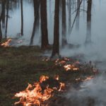 Stadt fordert erhöhte Vorsicht nach anhaltender Trockenheit: Offenes Feuer und Rauchen im Wald verboten