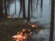 Stadt fordert erhöhte Vorsicht nach anhaltender Trockenheit: Offenes Feuer und Rauchen im Wald verboten