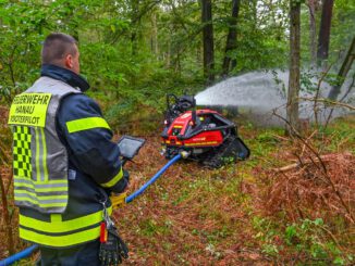 Waldbrand bei Klein-Auheim vernichtet 2,5 Hektar Hanau verhängt Grillverbot und verstärkt Kontrollen